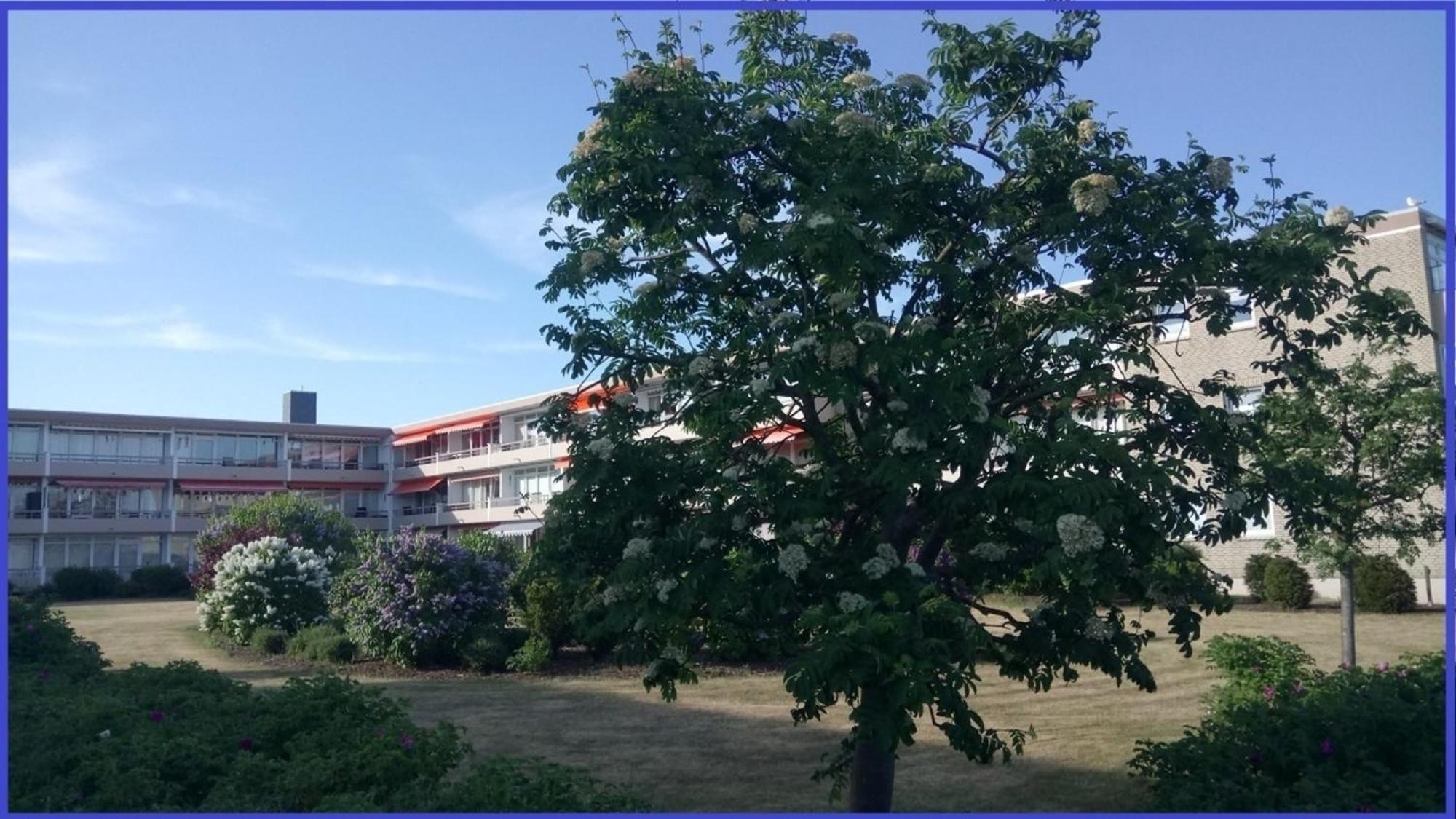 Bonna&#039S Ostsee Oase - Haus Baltic - Whg 180 - Inkl Gratis Wlan Und Saisonstrandkorb Grömitz Екстериор снимка